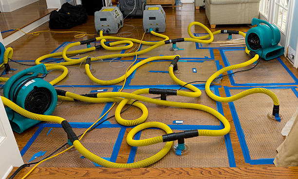 Professional Basement Flood Cleanup technician working in Camak, GA
